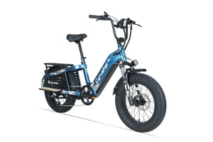 The Nuances of E-bike Longevity and Maintenance