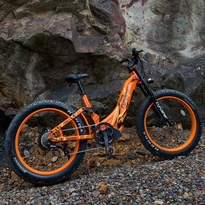 E-Bike costs: Beyond the Sticker Price
